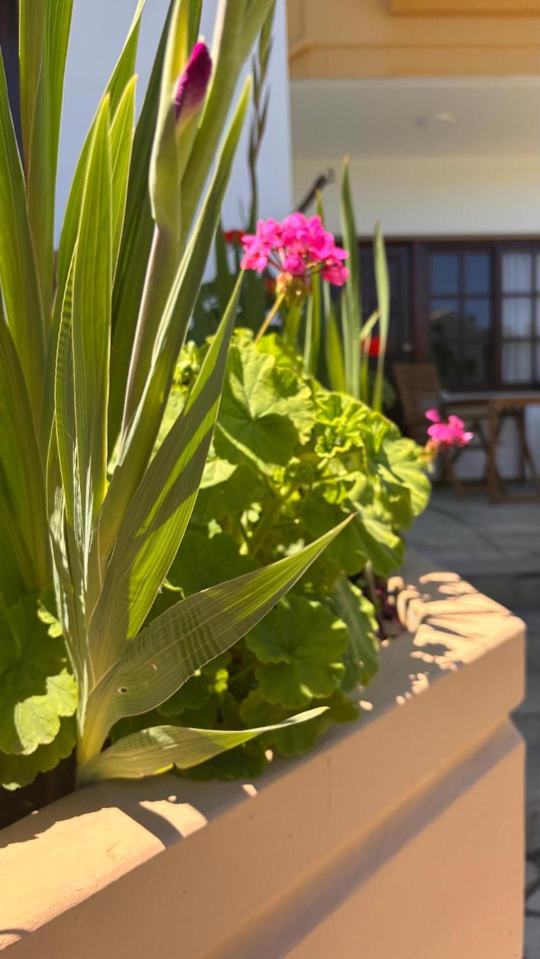 Menelaos Apartments Daratsos Extérieur photo